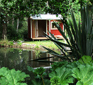 Cottage Pond Gunnera