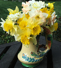 Daffodils Jug