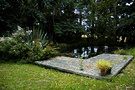 Deck Pond Late Summer