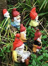 Garden Pond Gnomes