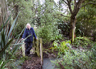 Gardener Rooster Bridge