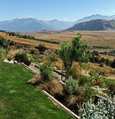 Glenarrife Garden