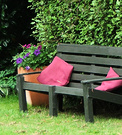 Green Bench Petunias