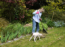 Lamb Gardening