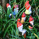 More Garden Gnomes