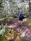 Moss Forest Gardener