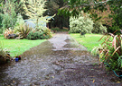 Puddles Driveway