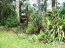 Shed Site