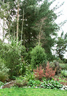 Shrubbery Extension