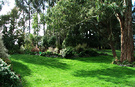 Shrubbery The Spring