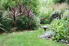 Shrubs Birdbath Garden