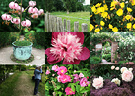 Sissinghurst Flowers Garden