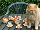 Tea Set Cat