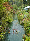 Water Phormium Leaves