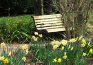 Bench Spring Garden