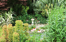 Bird Bath Greenery
