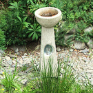 Bird Bath Paua