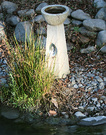 Bird Bath Winter