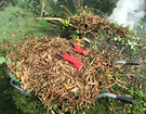 Bonfire Red Gloves