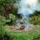 Bonfire Smoking Trees
