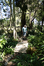 Bridge Gardener
