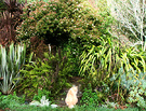 Bridge Shrubs Winter