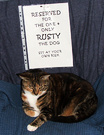Cat Dog Chair