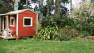 Cottage Prunus Flax