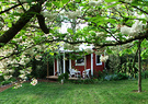Cottage Spring Tree
