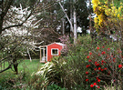 Cottage Thru Appletree