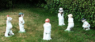 Cricketers Grass