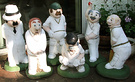 Cricketers