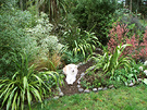 Dog In Shrub