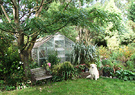 Gardening Dog Glasshouse