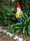 Lindsay Garden Gnome