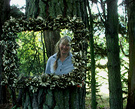 Mirror Tree Gardener