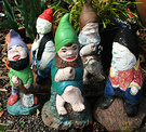 More More Gnomes