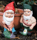 More Two Gnomes