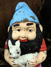 New Gnome Faun