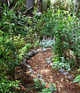 New Path Curve
