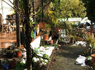 No Snow Patio