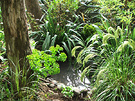 Pond 2