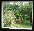 Pond Cottage Window