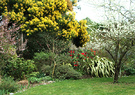 Pond Paddock Spring