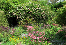 Rosy Flowery Garden