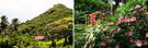 Sister Cottages