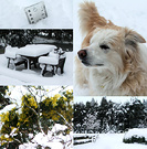Snow August 16