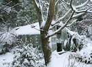 Snow Glass House