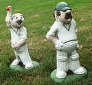 Two Cricketers