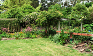 Vegie Garden Compost